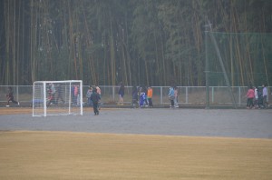 DSC_7677