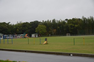 DSC_9557