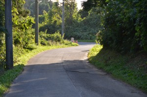 DSC_9828
