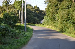 DSC_9830
