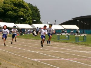 521-19