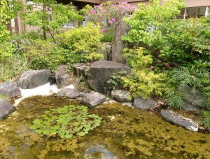 biotope